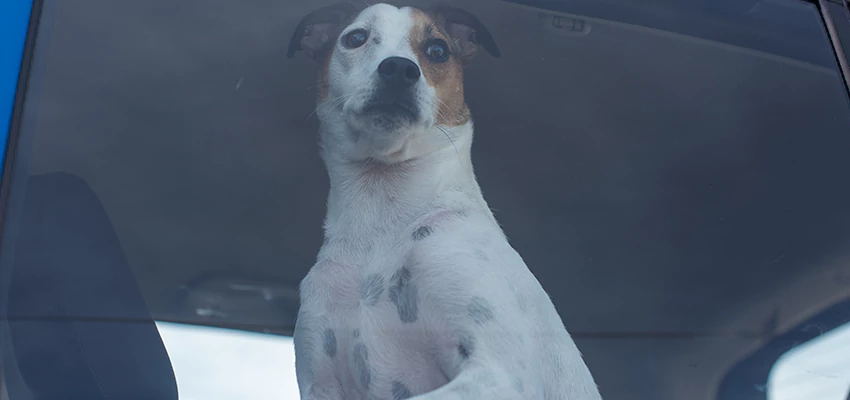 Car Lockout Solutions in Lemon Grove, California