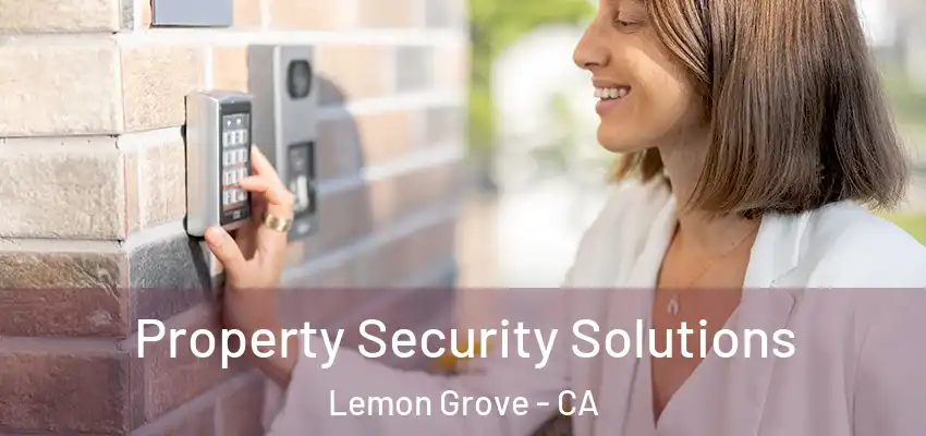 Property Security Solutions Lemon Grove - CA